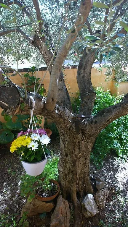 Casa Rosina Apartment Orosei Italy